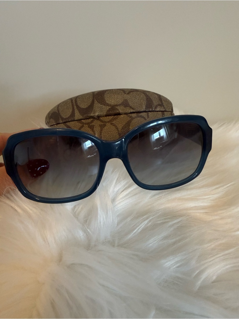Coach Women's Oversized Sunglasses in Dark Blue with Gradient Lenses